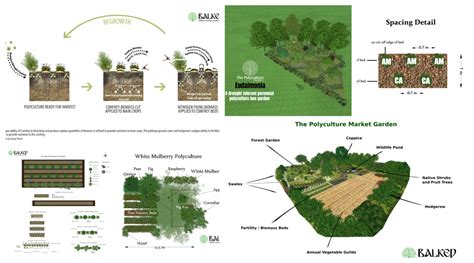 Polyculture Design Webinars