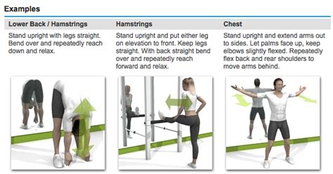 Ballistic – HSC PDHPE