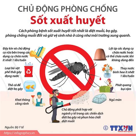 [Infographics] Chủ động phòng, chống sốt xuất huyết