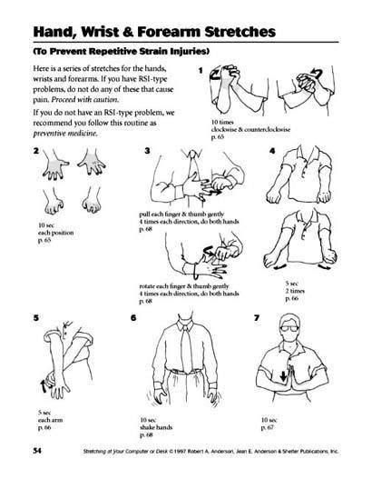 Pin on Anatomy Info