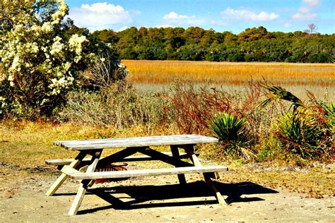 Edisto Island: History, Pure Bliss & More - RVing with Rex