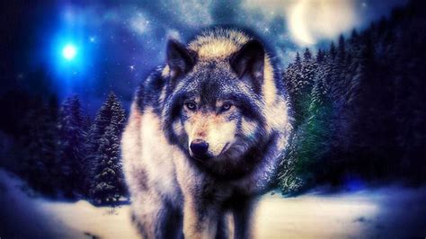 Magic Wolf Wallpapers free download