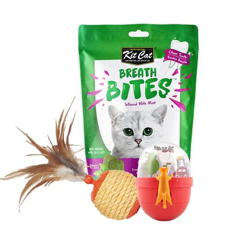 27% off on 3 Piece Cat Toys and Treats