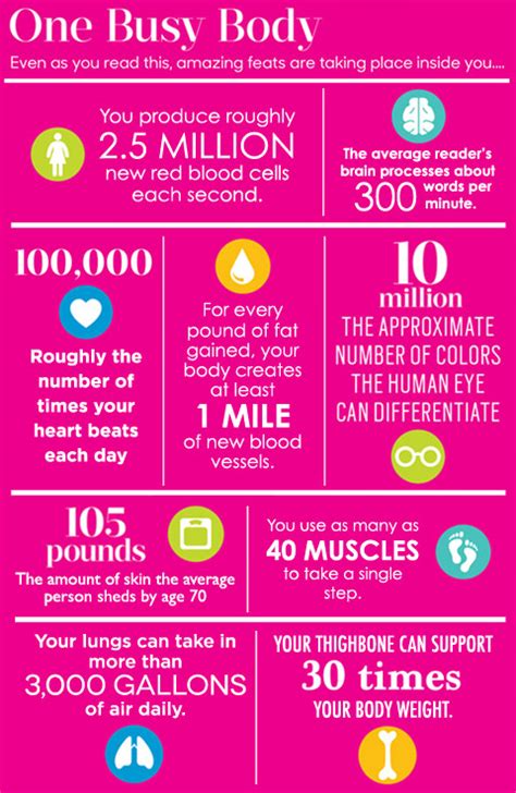 Amazing Facts About Your Body