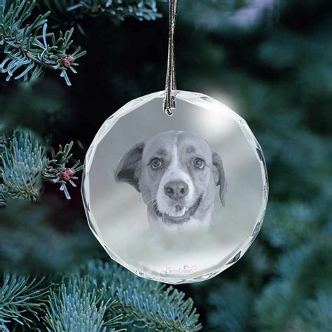 Laser Engraving Picture in Glass Ornament – Goodcount 3D Crystal Etching Gift & Award