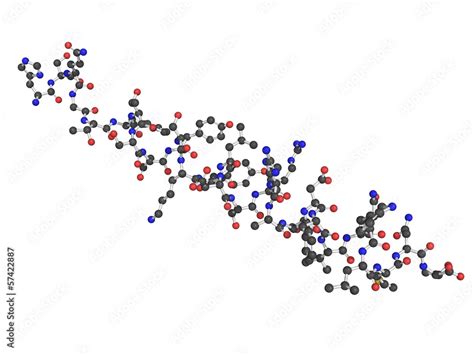 Chemical structure of glucagon Stock Illustration | Adobe Stock