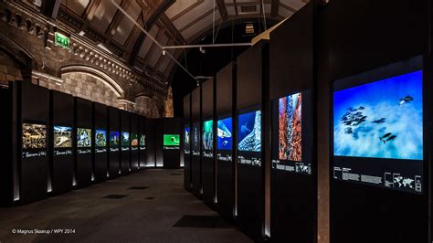 Exhibition and tickets | Wildlife Photographer of the Year