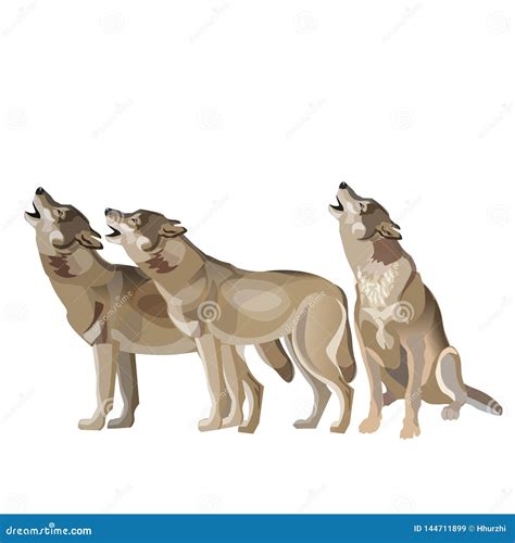 Howling Pack Wolf Stock Illustrations – 188 Howling Pack Wolf Stock ...