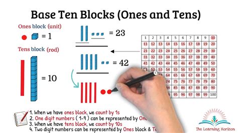 Math | Place Value & Base 10 Blocks for kids | Tens and Ones | The ...