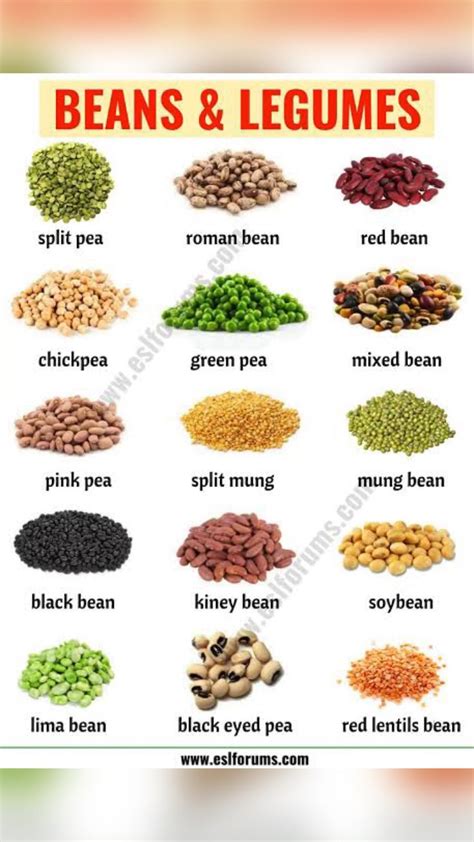 Types of Beans and Legumes