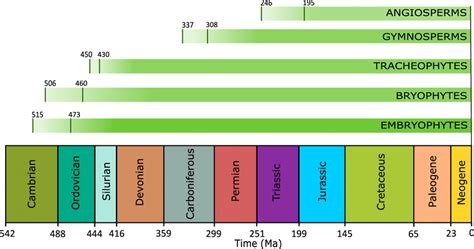 20+ Plant Evolution Timeline - RuidiSadhika