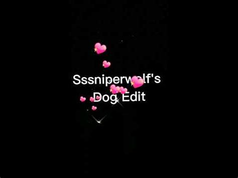 Sssniperwolf's Dogs Edit! - YouTube