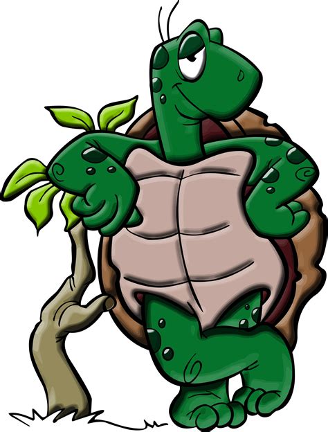 Cartoon Turtle Pictures | Free download on ClipArtMag