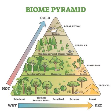 Exploring Earth's Beautiful Biomes - Centre of Excellence