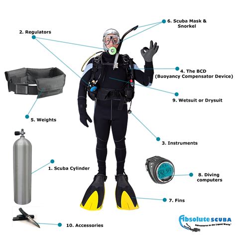 Scuba diving equipment | Scuba diving equipment, Diving equipment, Diving