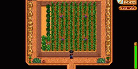 How to Find and Grow Every Crop in Stardew Valley