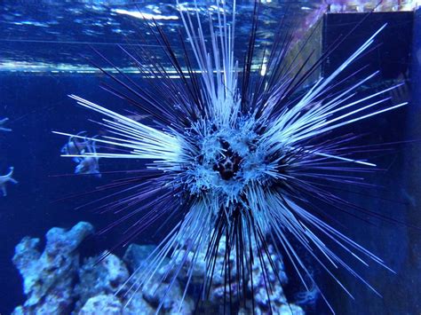 Gdynia Aquarium - ITS Poland