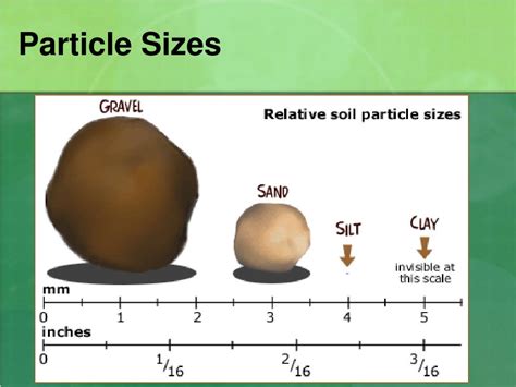 PPT - Growing Plants Hydroponically vs. In Soil: PowerPoint ...