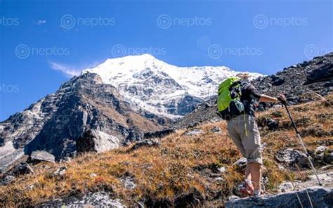 trekking tsho rolpa Stock Images of Nepal