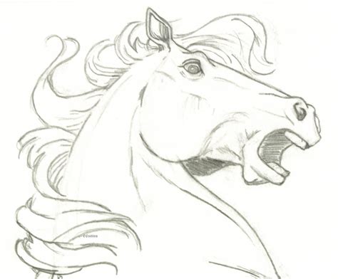 shocked and scared at the same time! ^^ this is my fav horse picture so ...