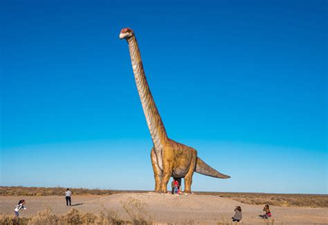 10 Facts About Patagotitan: Earth’s Biggest Dinosaur | History Hit