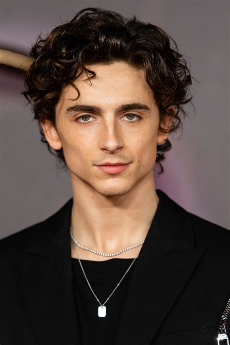 How Timothée Chalamet is reframing masculinity in cinema | Vogue France