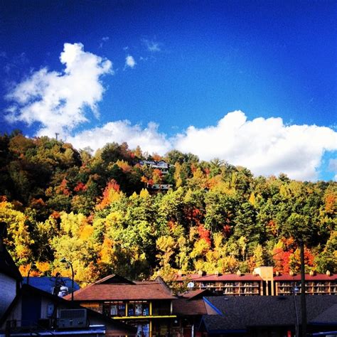 Fall Foliage, Gatlinburg, TN | Fall foliage, Gatlinburg, Travel