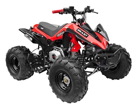 GMX The Beast Sports Quad Bike | 125cc ATV Quad Bike | GMX Motor Bikes