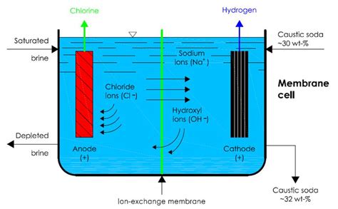 Chlor Alkali Plant Process| Caustic Soda Plant | Potassium Hydroxide Plant