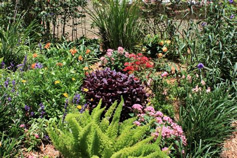 12 planten die gedijen in de zon: Hoe maak je je bloembed in Zuid ...