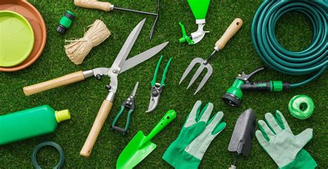 A Beginner's Guide to Gardening Tools - Week 99er