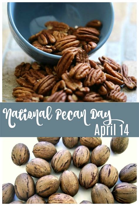 National Pecan Day - April 14 - Fun Facts and Recipes for This Tasty Nut