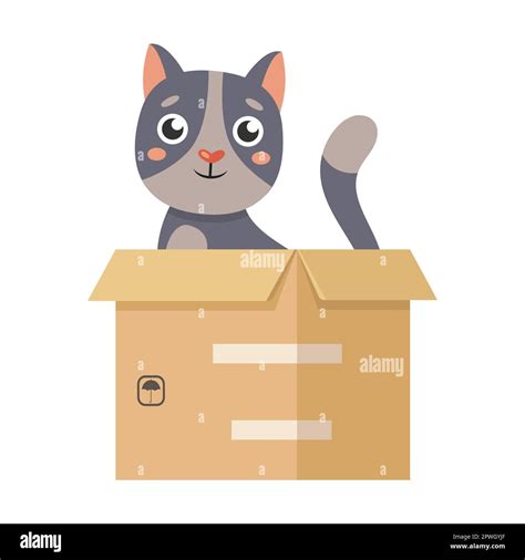 Cat With Box Preposition Inside Cartoon Illustration Visual | The Best ...