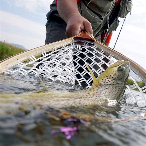 Amazon.com : Magnetic Net Release for Fly Fishing : Sports & Outdoors | Рыбалка, Нахлыст, Охота