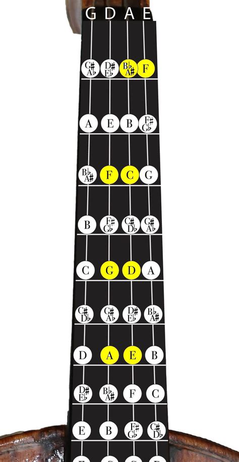 Violin Scales: Learn the Most Common Scales on the Violin - Violin Lounge