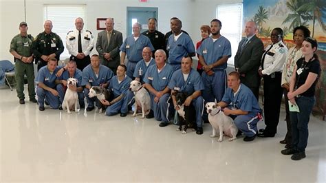 Adoption Ready: Inmates train dogs at local prison