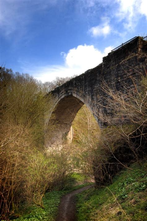 Causey Arch picnic area. The oldest surviving single arch railway ...