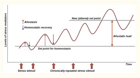 5 Reasons to Avoid Salivary Cortisol Testing