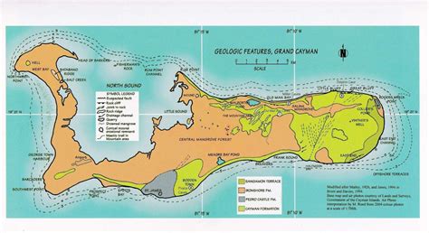 CaymANNature: Cayman Rocks – Caymanite and Phytokarst