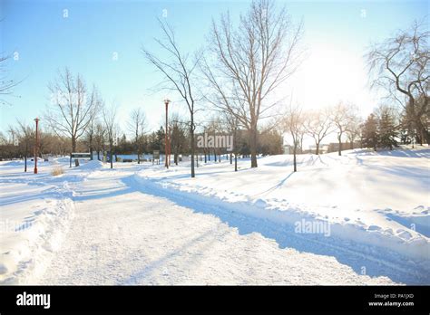 Sunny winter day at the park. Winnipeg, Canada Stock Photo - Alamy