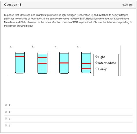 Solved: - In The Meselson-Stahl Experiment, Three Potentia... | Chegg.com