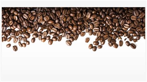 Coffee Beans Png Transparent Download - Coffee Beans Background Png ...