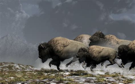 “Bison Stampede by *deskridge ” | Wildlife | Pinterest | Buffalo, American bison and Animal