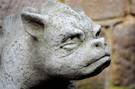 Stone Sculptures - Gargoyles Free Stock Photo - Public Domain Pictures