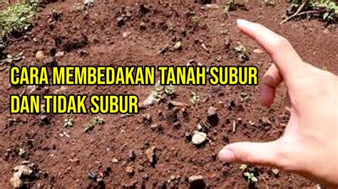 Membedakan tanah subur dengan tidak subur dengan mudah - YouTube