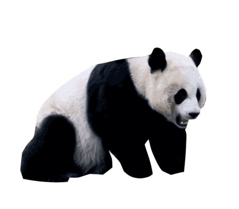 Realistic Panda - Openclipart