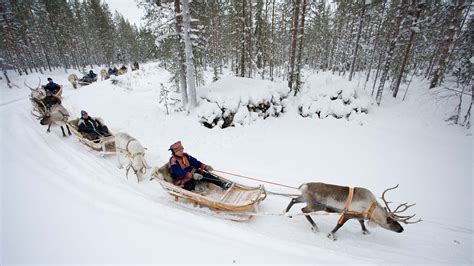 Sami Culture Tours & Travel Packages with Reindeer : Nordic Visitor