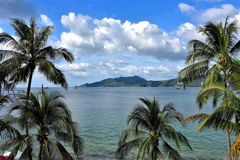 Patong Bay Surrounded by Palm Trees in Phuket, Thailand - Encircle Photos