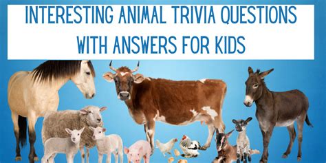 Interesting Animal Trivia Questions with Answers for Kids - EverythingMom