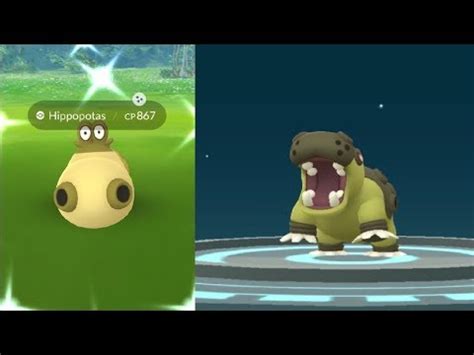 WE CAUGHT SHINY HIPPOPOTAS! POKEMON GO SHINY HIPPOPOTAS EVOLVES INTO SHINY HIPPOWDON! - YouTube